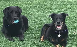 Chris Z.'s photo of camping with pets at J & H RV Park near Flagstaff, AZ