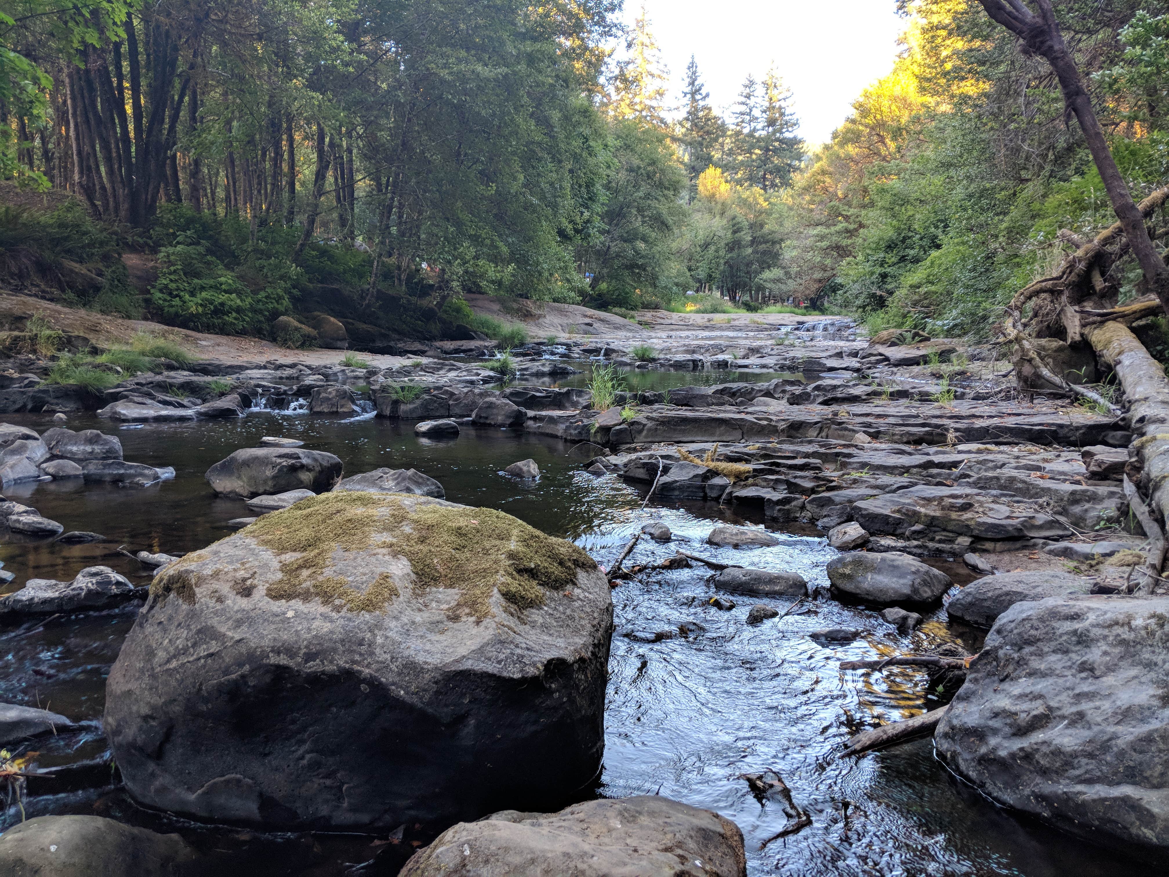 Camper submitted image from LaVerne County Park - 3