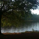 Review photo of Huntsville State Park Campground by Bonnie C., September 5, 2018