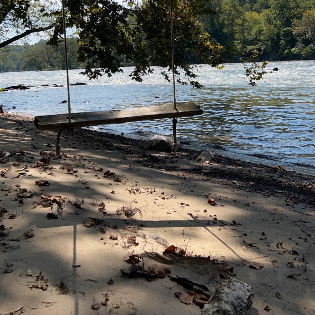 Camp Driftwood Asheville Camping The Dyrt