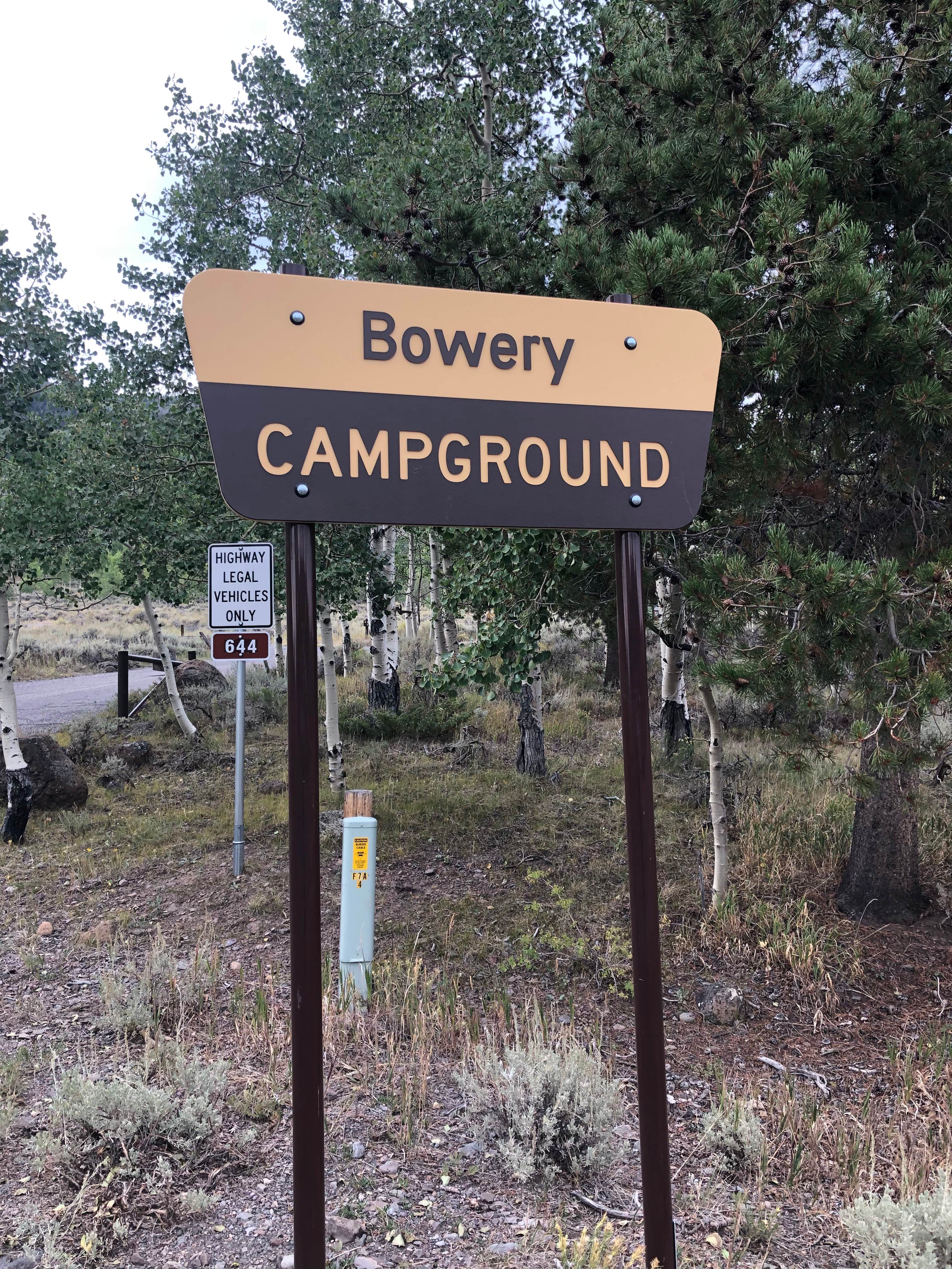 Camper submitted image from Bowery Creek - 3