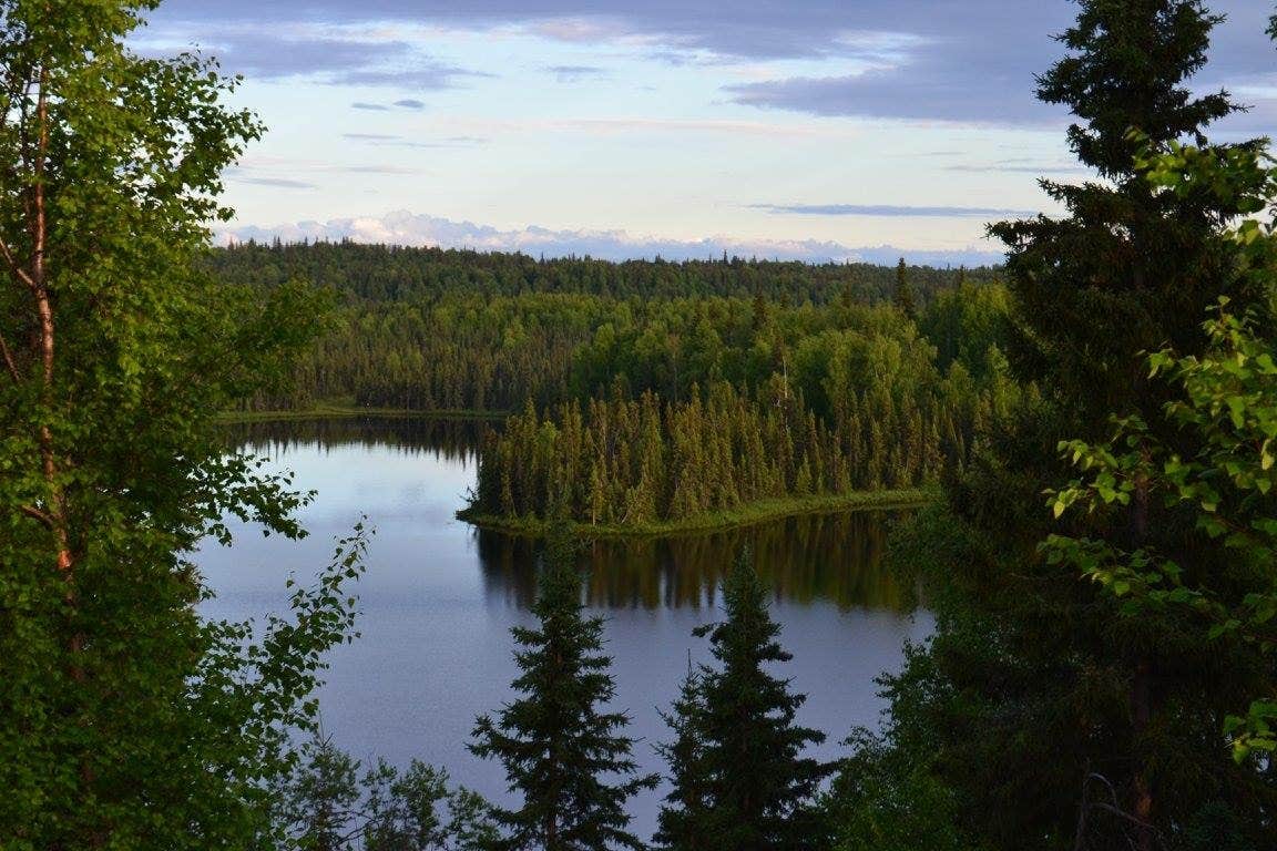Camper submitted image from South Rolly Lake Campground - 3