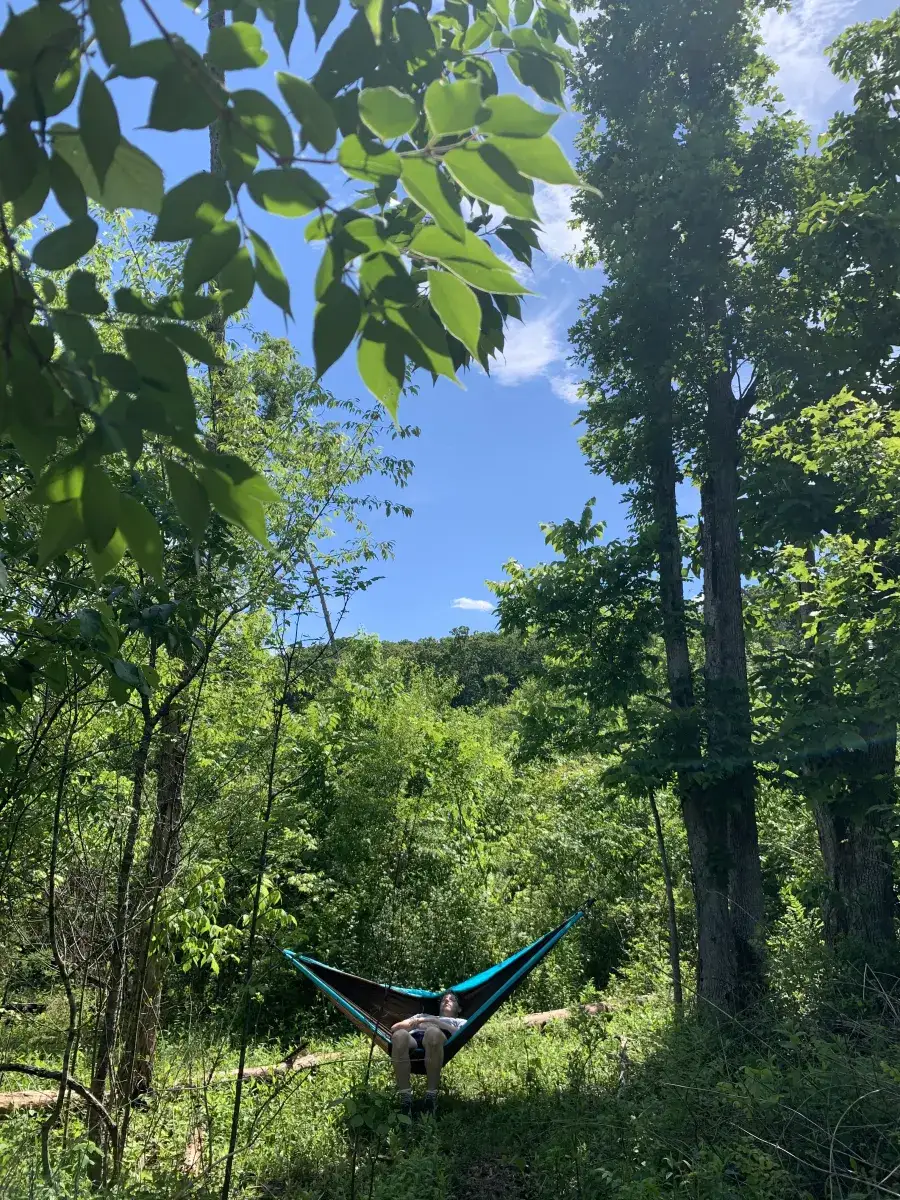 Camper-submitted photo at Hummingbird Hollow Outdoors Farm Sanctuary near Stanton, MO