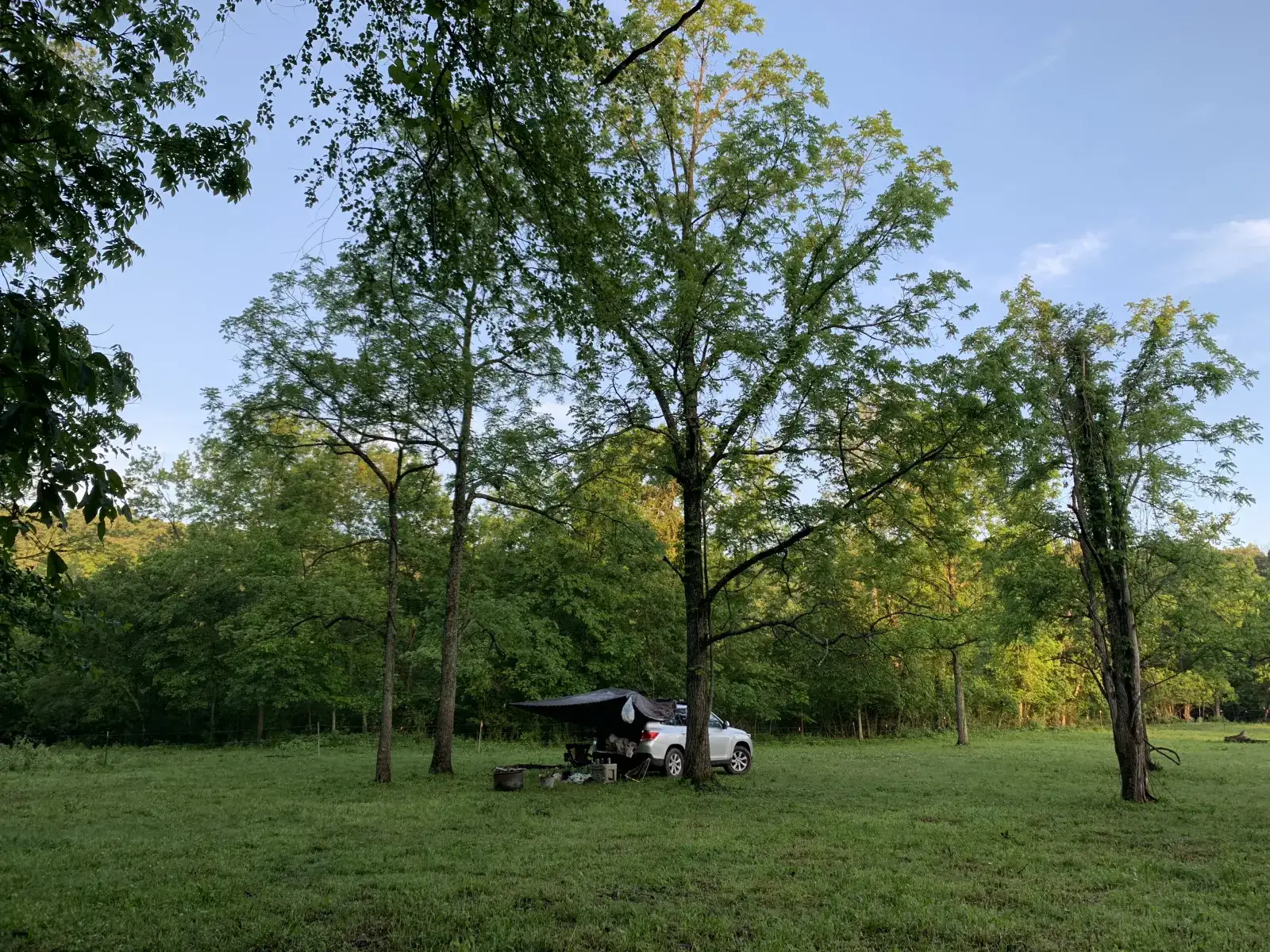 Hummingbird Hollow Outdoors Farm Sanctuary