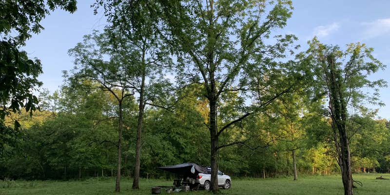 Camper submitted image from Hummingbird Hollow Outdoors Farm Sanctuary