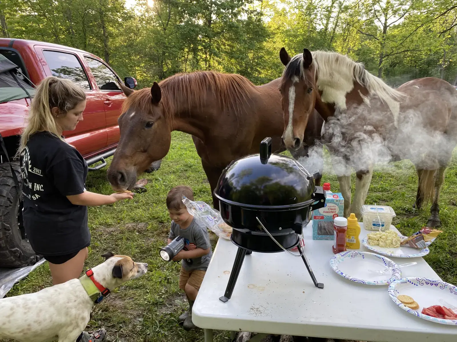 Camper-submitted photo at Hummingbird Hollow Outdoors Farm Sanctuary near Stanton, MO