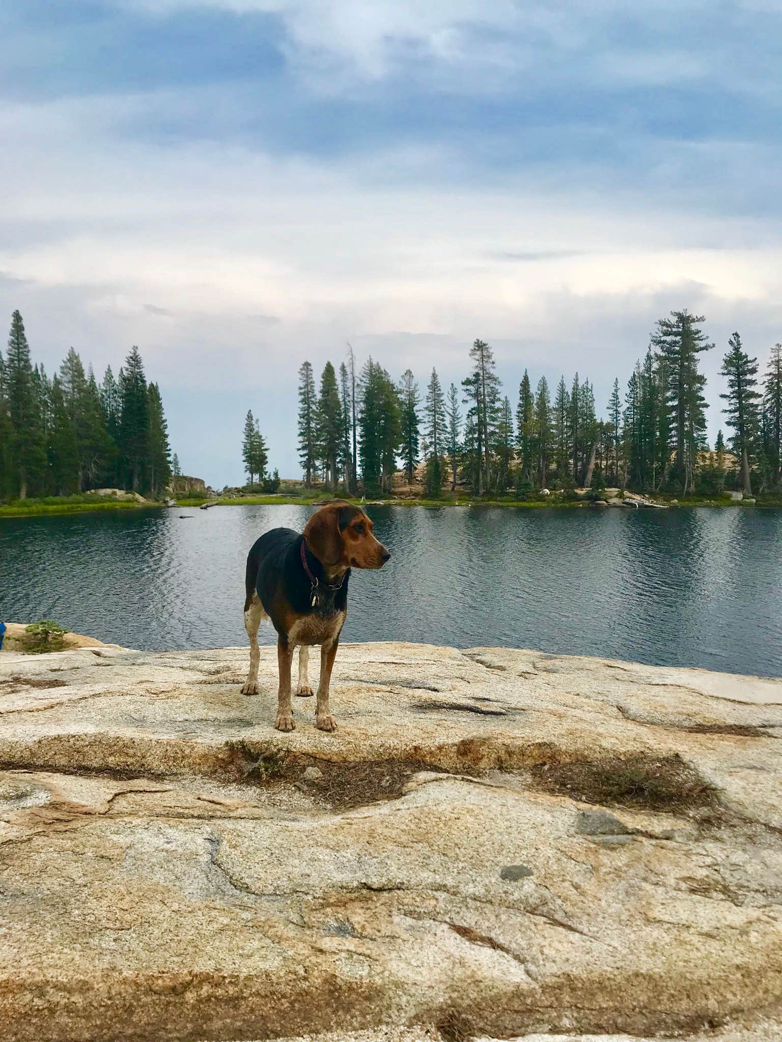 Camper submitted image from Fresno Dome Campground - 2