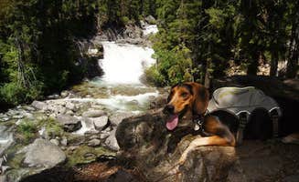 Jacqui W.'s photo of camping with pets at Hayward Flat near Klamath National Forest