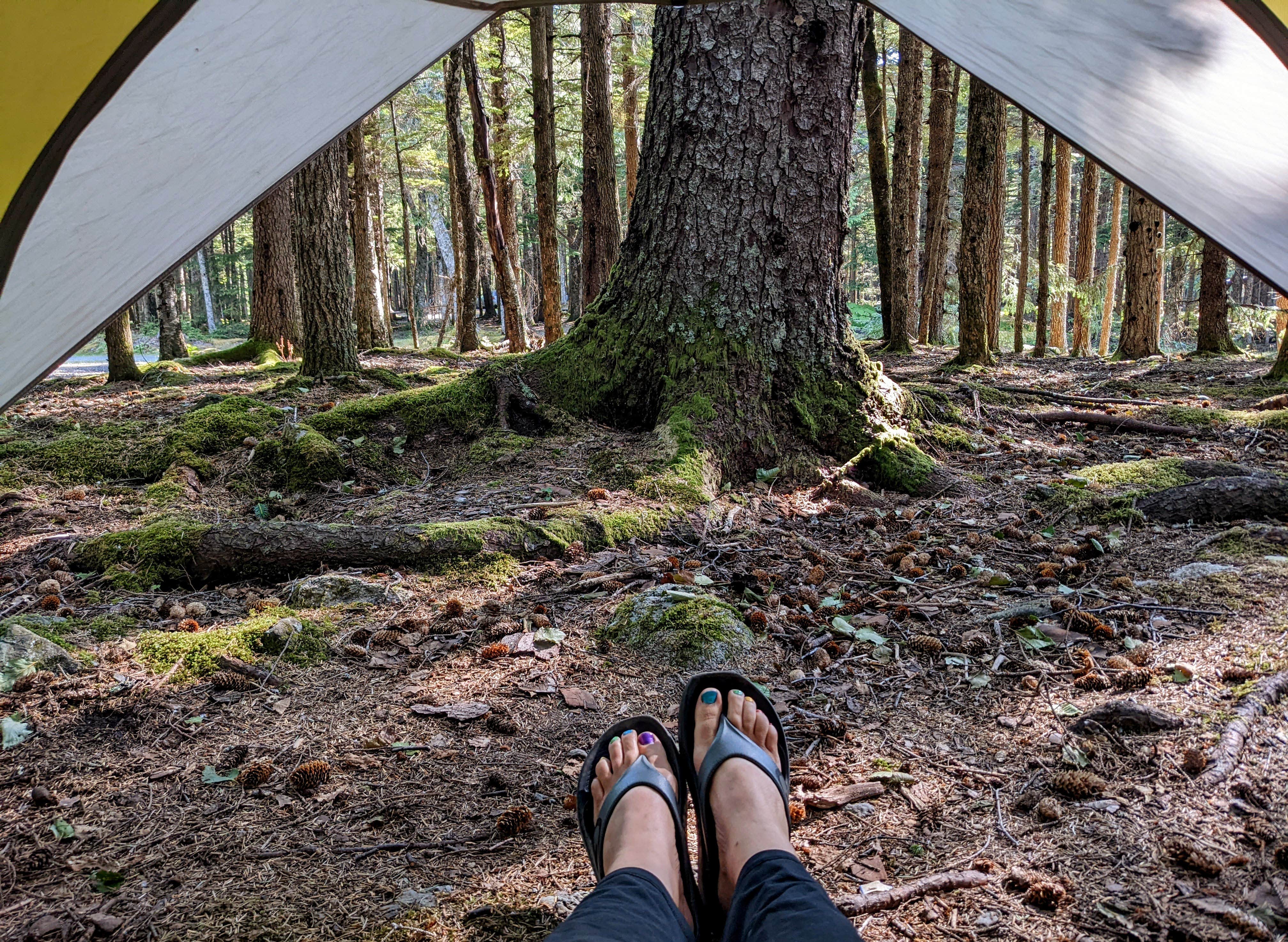 Camper submitted image from Mendenhall Lake Campground - 4