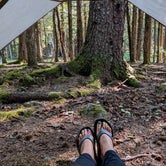 Review photo of Mendenhall Lake Campground by Shari  G., October 6, 2022