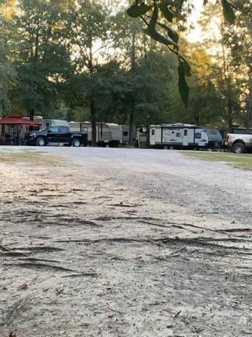 Camper submitted image from Made in the Shade RV Park and Campground - 5
