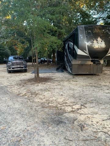 Camper submitted image from Made in the Shade RV Park and Campground - 4