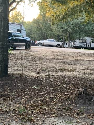 Camper submitted image from Made in the Shade RV Park and Campground - 4