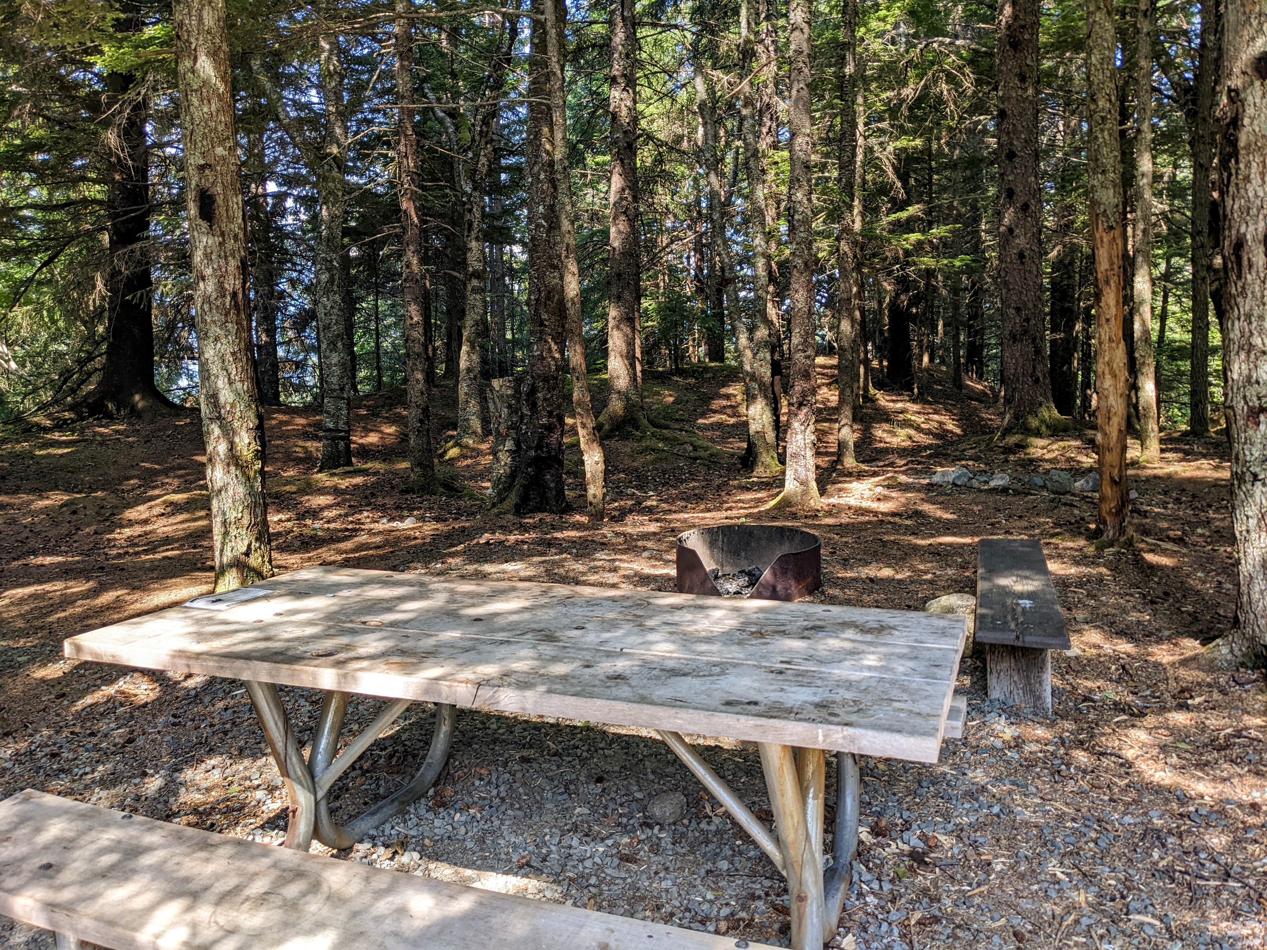Camper-submitted photo at Chilkat Bald Eagle Preserve near Haines State Forest