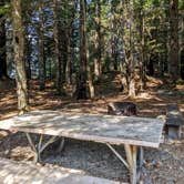 Review photo of Chilkat Bald Eagle Preserve by Shari  G., October 6, 2022