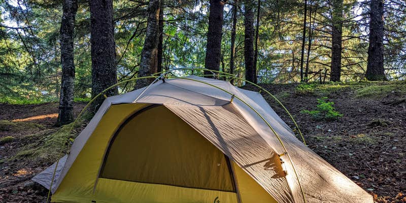Camper submitted image from Chilkat Bald Eagle Preserve