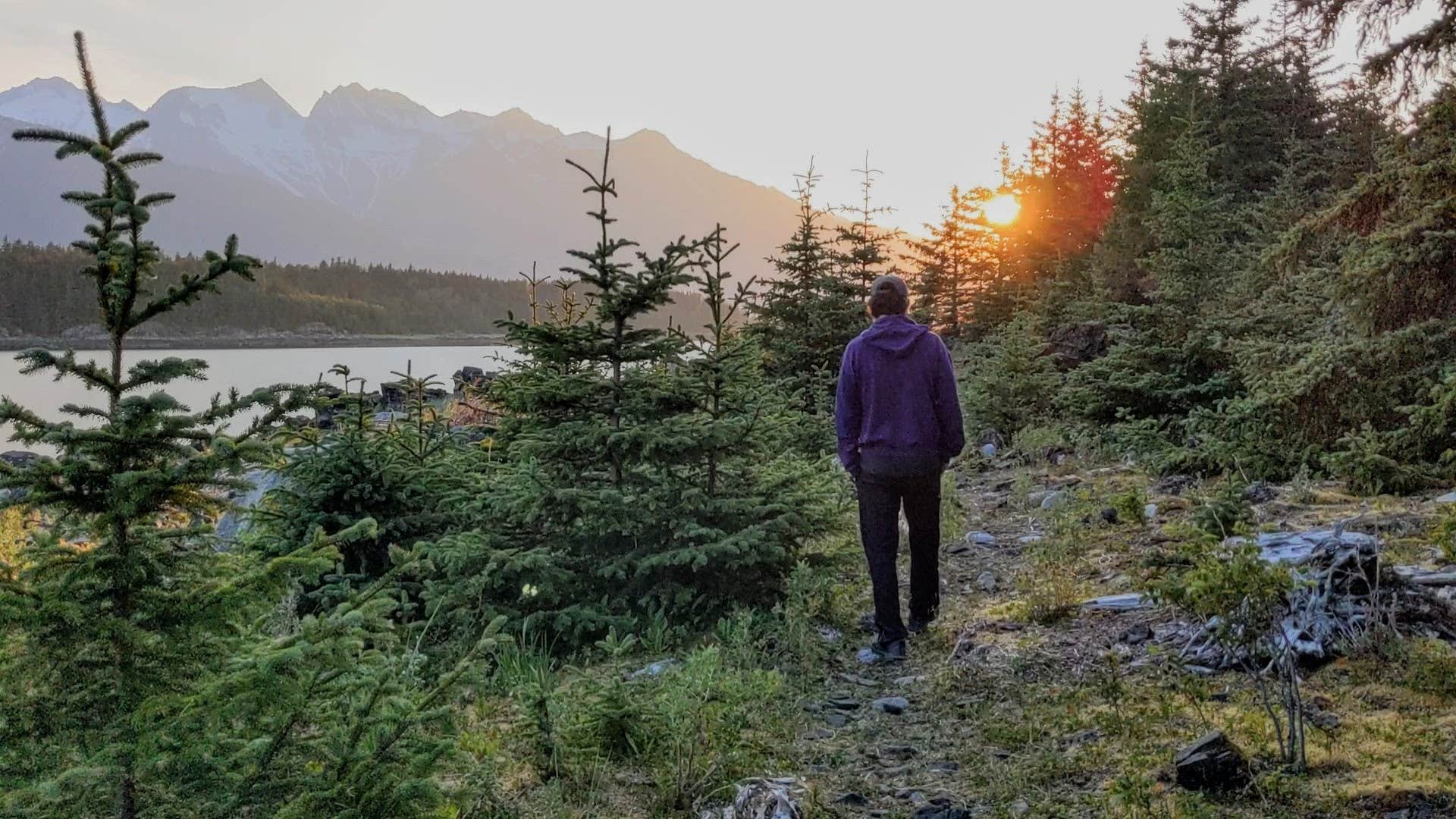 Camper-submitted photo at Chilkat Bald Eagle Preserve near Haines State Forest