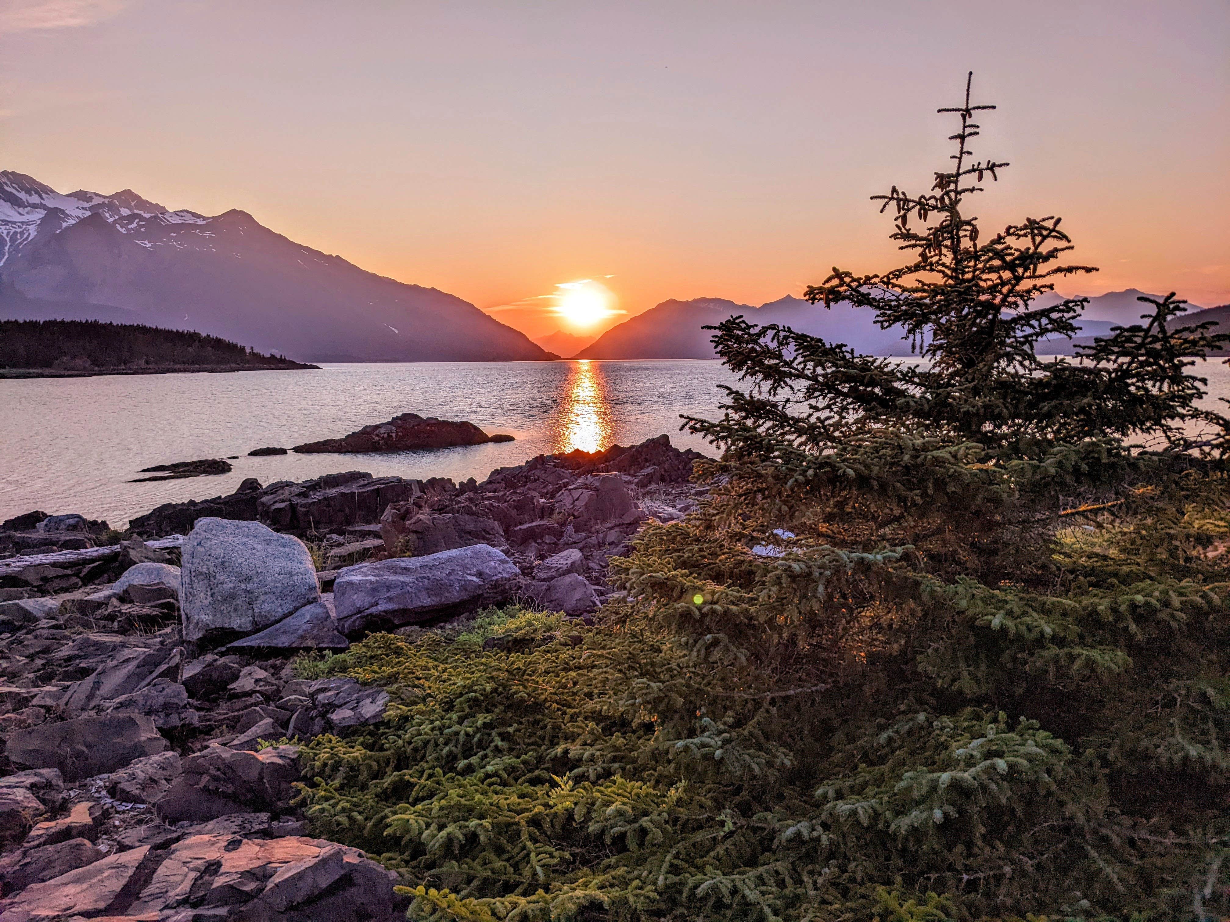 Camper-submitted photo at Chilkat Bald Eagle Preserve near Haines State Forest