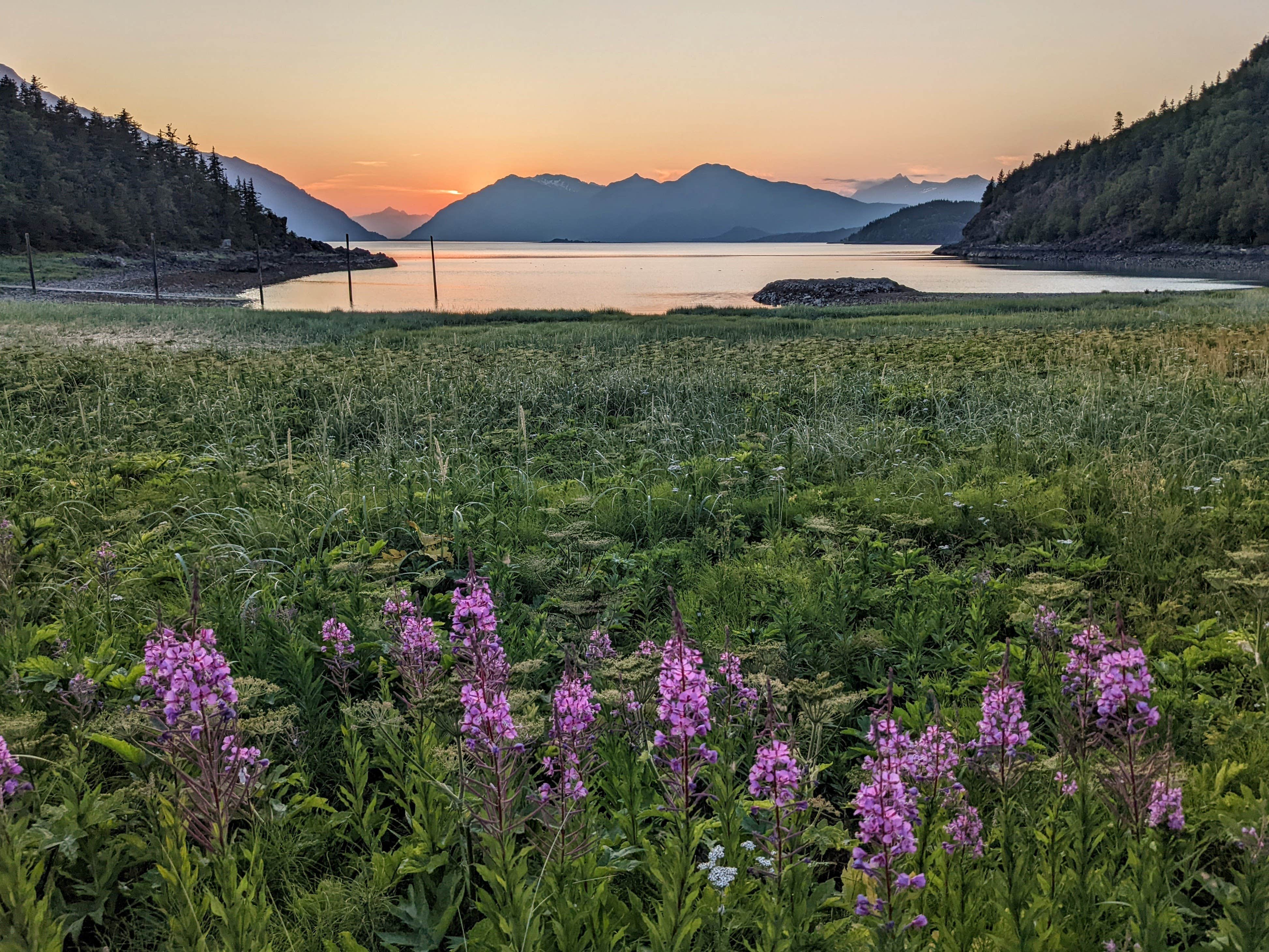 Camper-submitted photo at Chilkat Bald Eagle Preserve near Haines State Forest