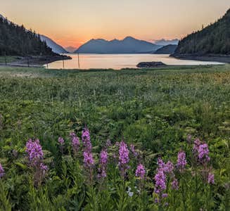 Camper-submitted photo from Chilkat Bald Eagle Preserve