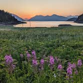 Review photo of Chilkat Bald Eagle Preserve by Shari  G., October 6, 2022