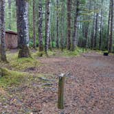 Review photo of Bartlett Cove Campground — Glacier Bay National Park by Shari  G., October 6, 2022