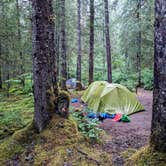 Review photo of Bartlett Cove Campground — Glacier Bay National Park by Shari  G., October 6, 2022