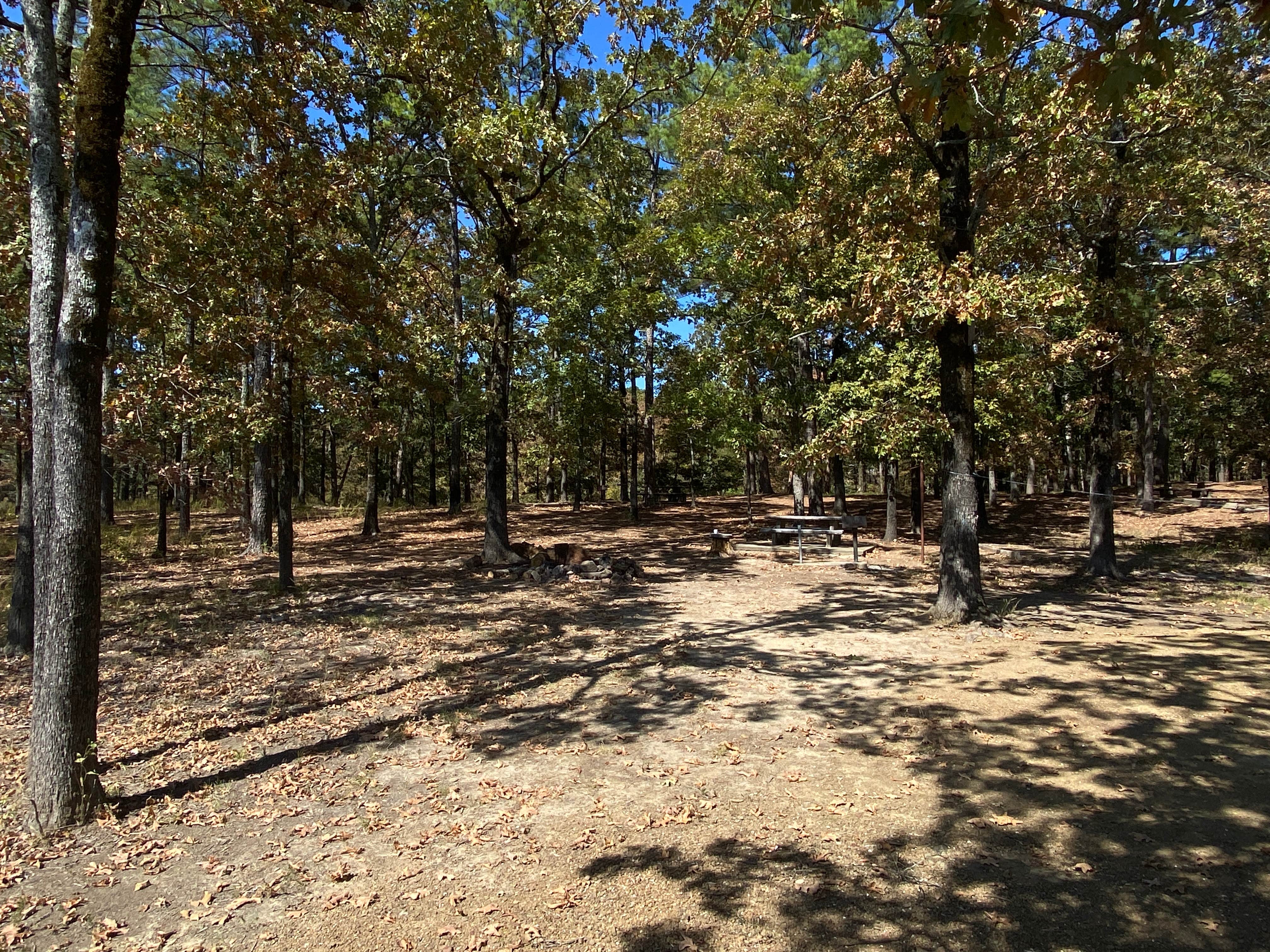 Camper submitted image from Ozan Point - De Gray Lake - 1