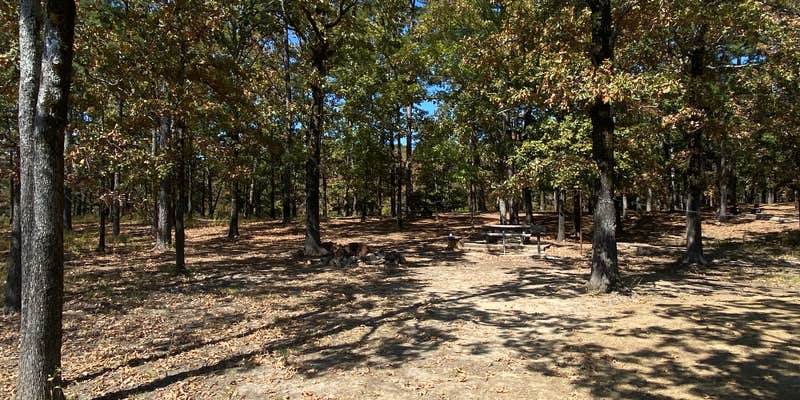 Camper submitted image from Ozan Point - De Gray Lake