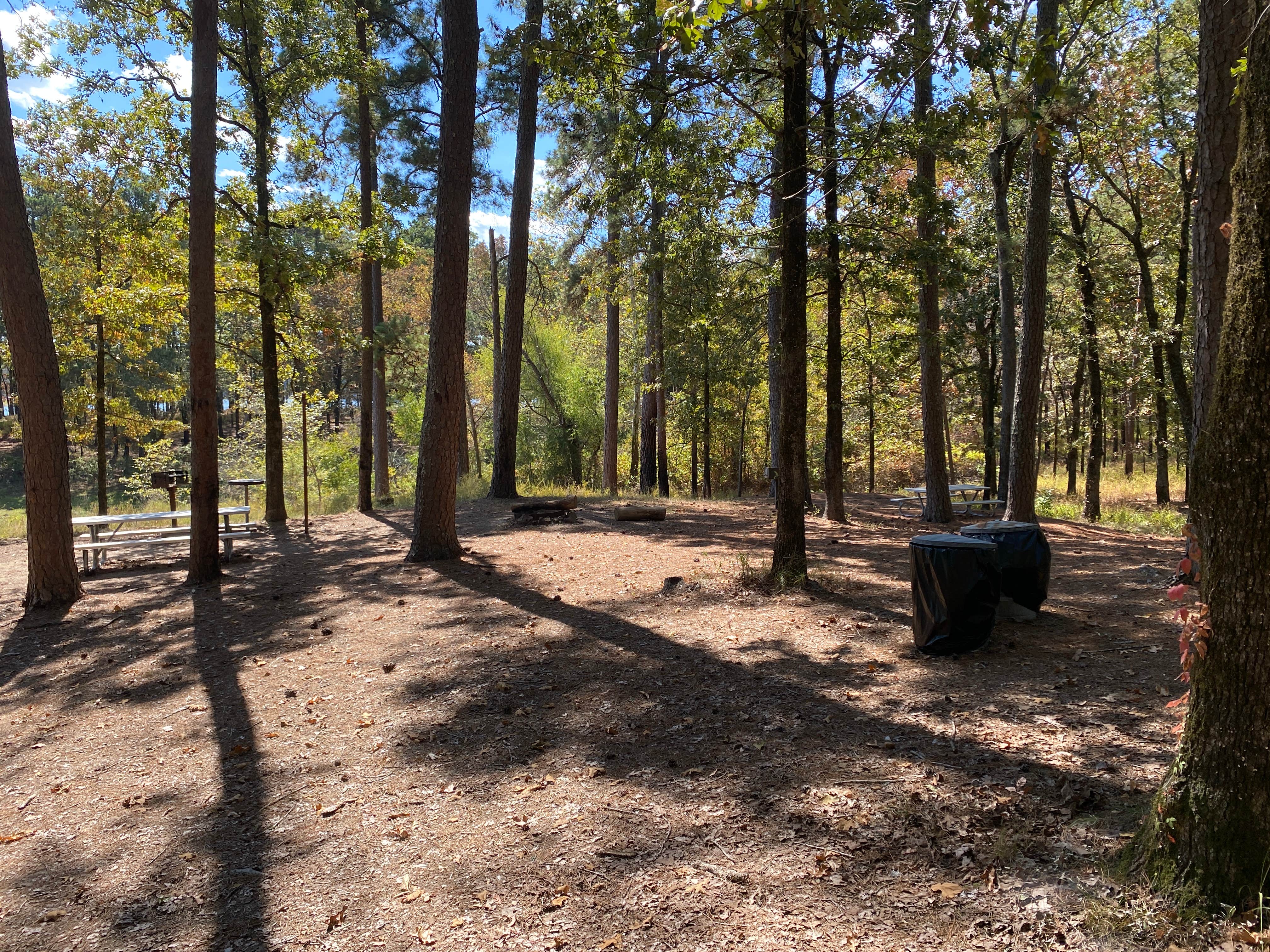 Camper-submitted photo at Ozan Point - De Gray Lake near Arkadelphia, AR