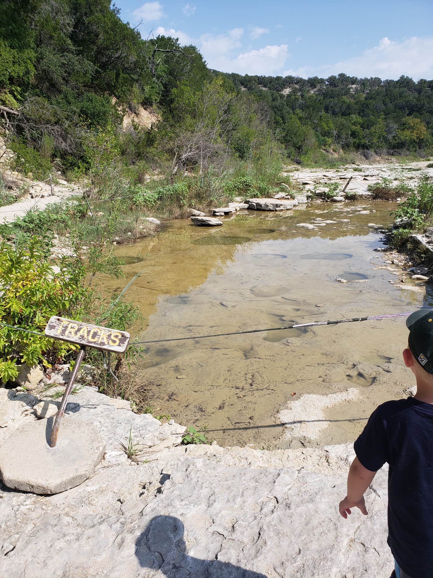 Camper submitted image from Dinosaur Valley State Park Campground - 3