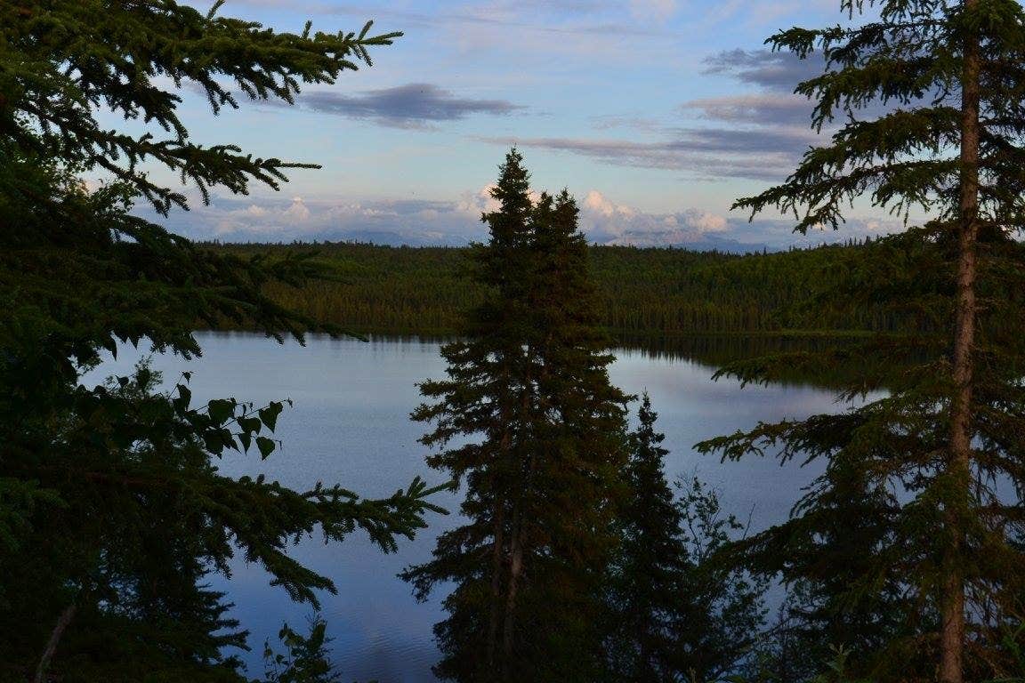 Camper submitted image from South Rolly Lake Campground - 5