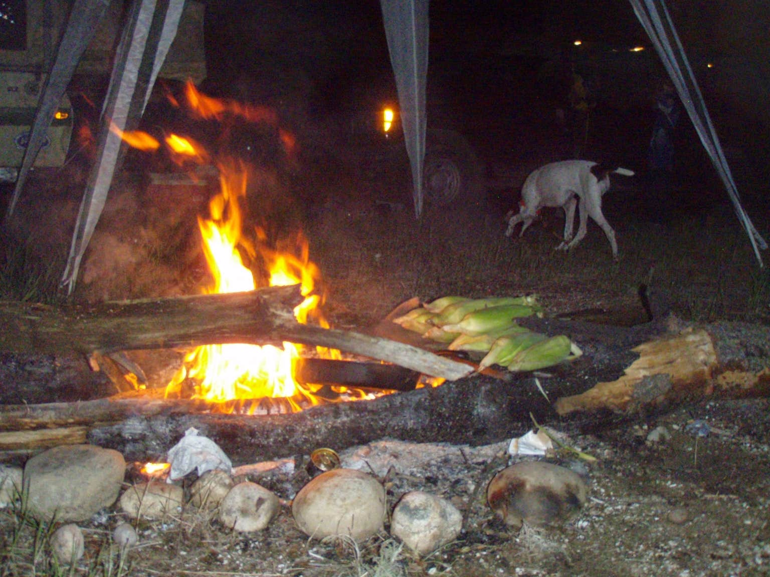 Camper-submitted photo at Kestelwoods Campground near South Branch, MI