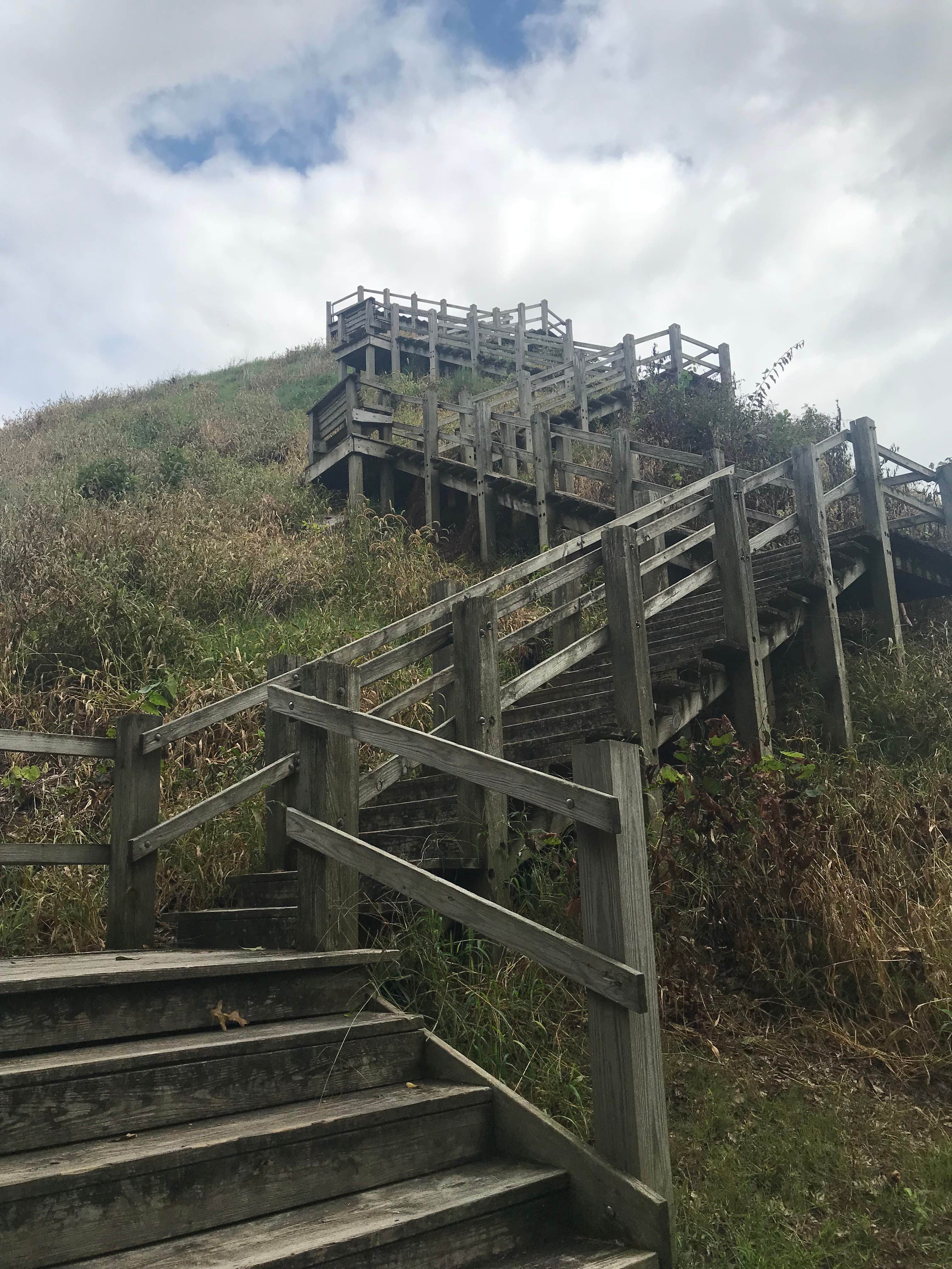 Camper submitted image from Pinson Mounds Group Camp — Pinson Mounds State Archaeological Park - 3