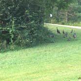 Review photo of Salt Fork State Park Campground by Shelly S., August 5, 2016