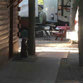 Review photo of Wagon Wheel Campground by Joshua M., September 6, 2018