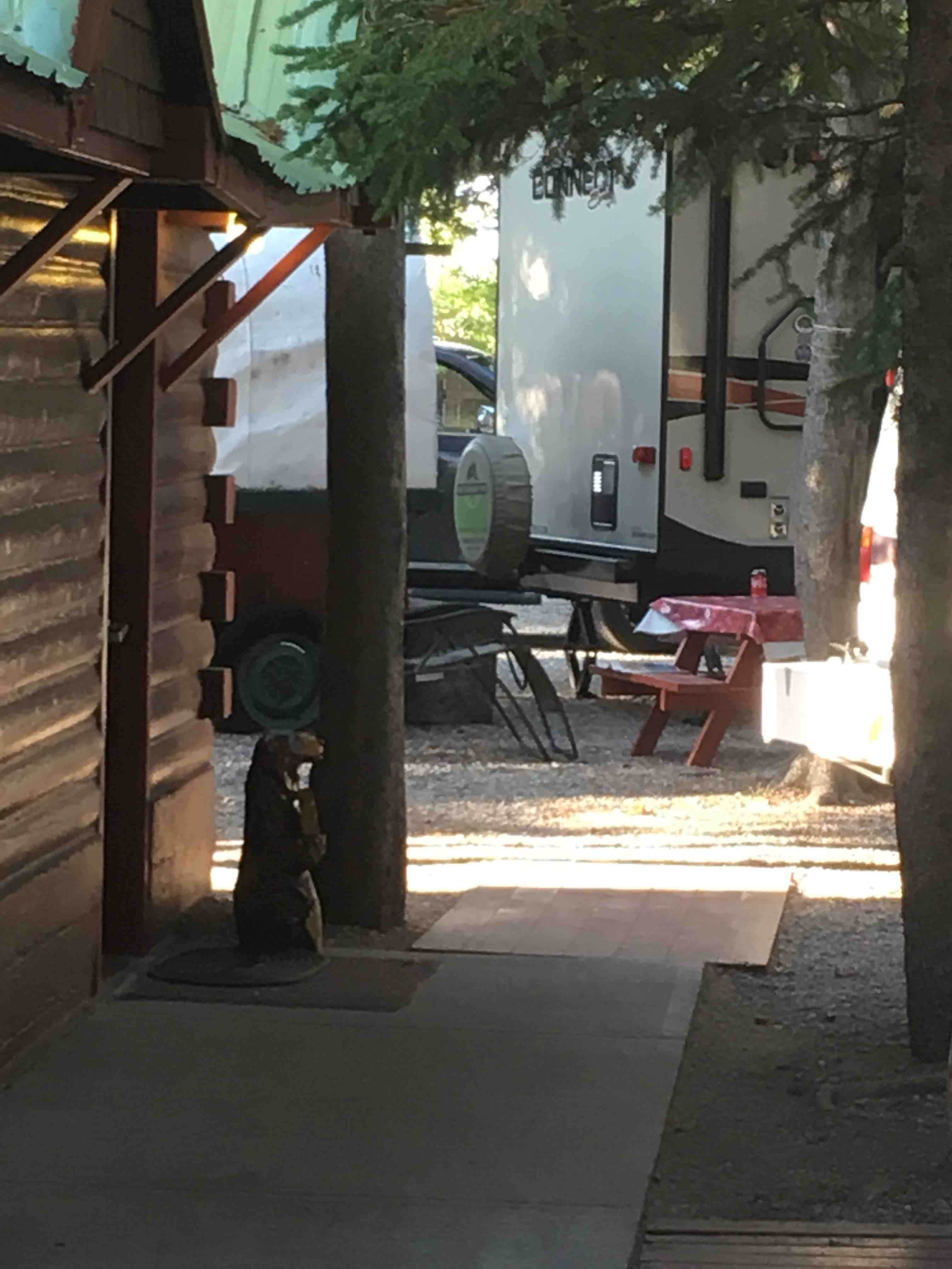 Camper submitted image from Wagon Wheel Campground - 4