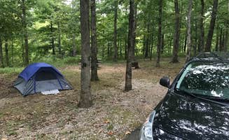 Crystal C.'s photo at Meriwether Lewis Campground near Columbia, TN