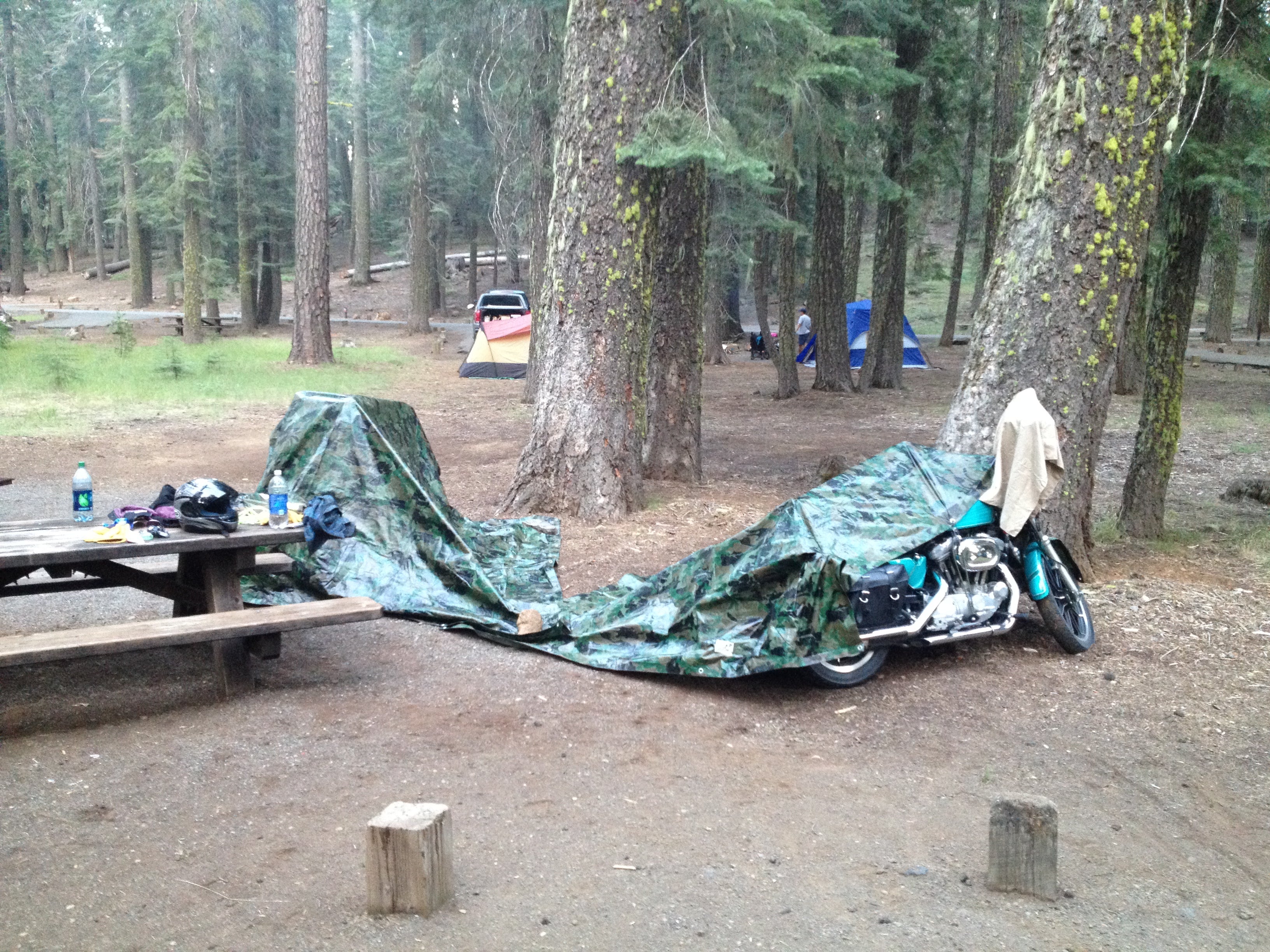 Camper submitted image from Battle Creek Campground - 5