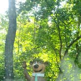 Review photo of Yogi Bear's Jellystone Park in Hagerstown MD by Cat R., October 7, 2022
