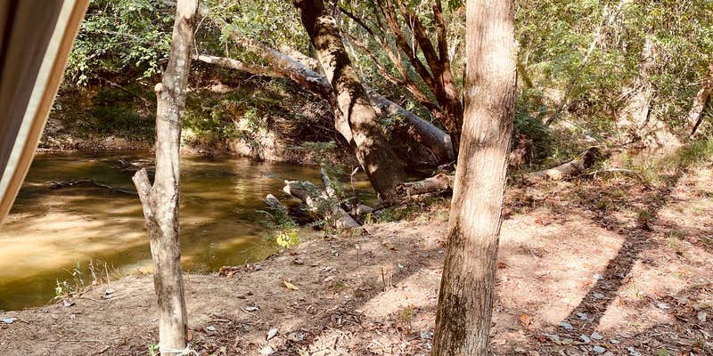 Camper submitted image from Urban Wilderness Retreat