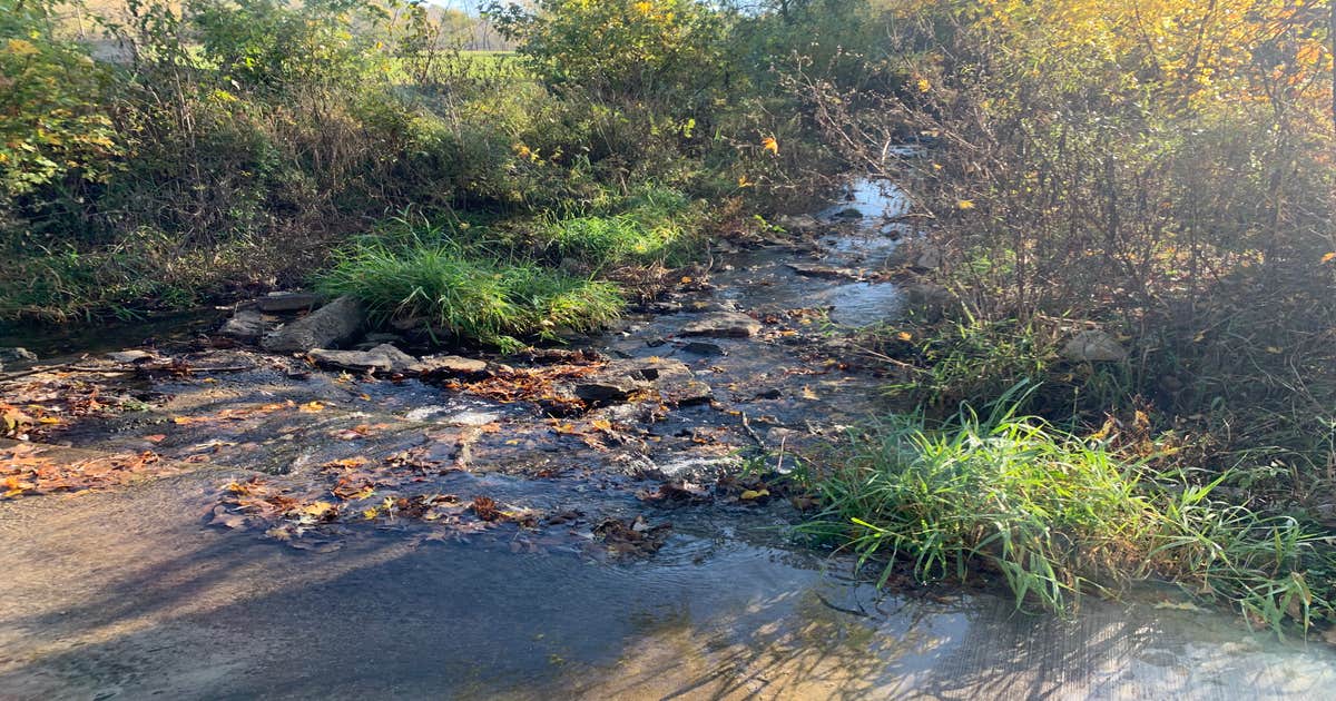 Wildcat Bluff County Park Camping | Vinton, IA