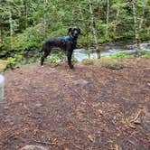 Review photo of Mount Hood National Forest Tollgate Campground by Maddie L., October 7, 2022