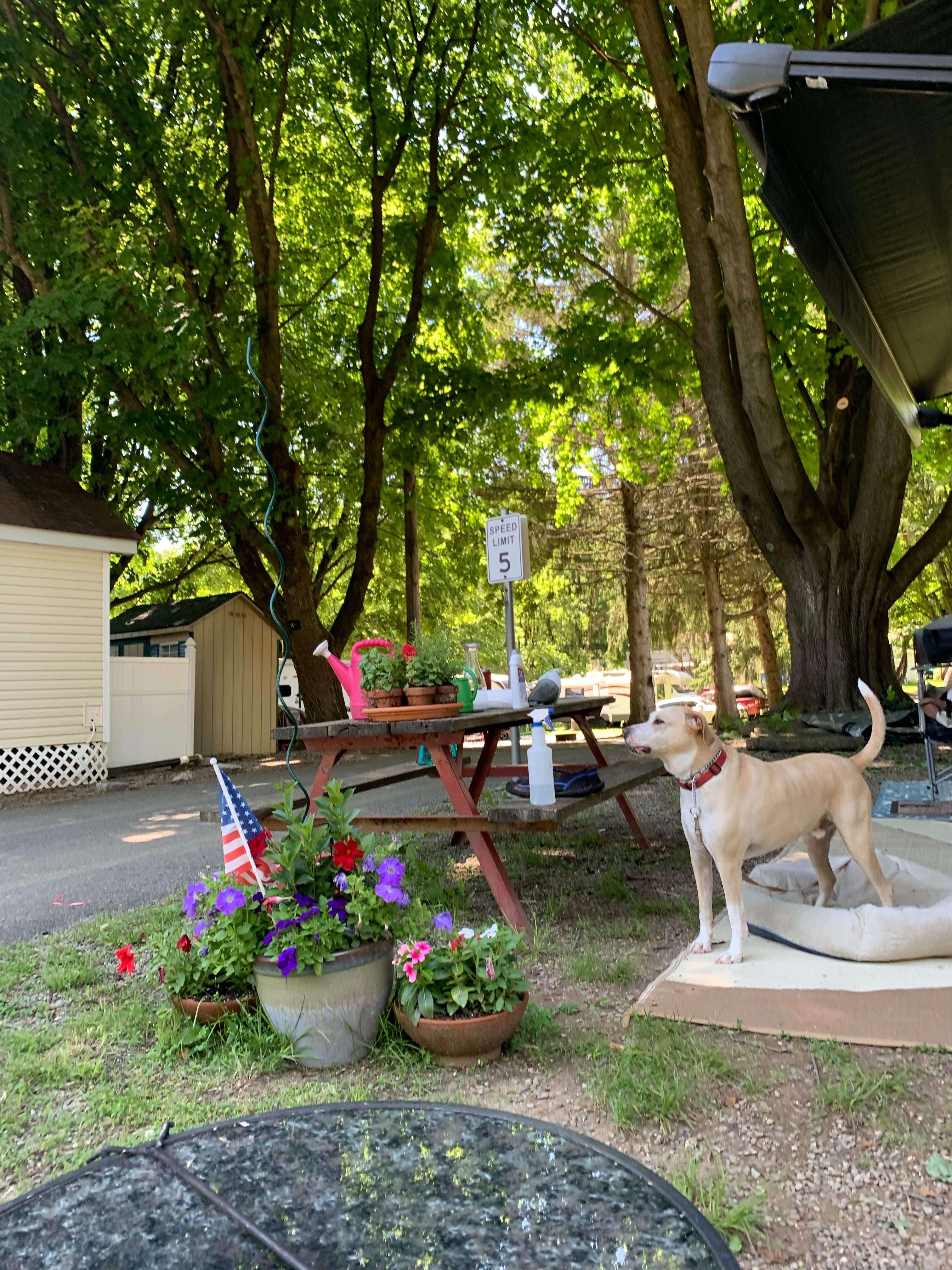 Camper-submitted photo at Panther Lake Camping Resort near Verona, NJ