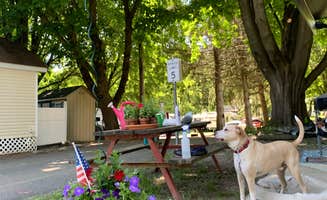 Joni P.'s photo of camping with pets at Panther Lake Camping Resort near New York City, NY
