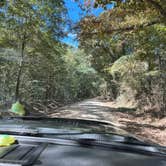 Review photo of Tugaloo State Park Campground by Brittany V., October 7, 2022