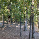 Review photo of Red Top Mountain State Park Campground by Kevin H., October 7, 2022