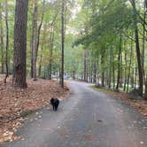 Review photo of Red Top Mountain State Park Campground by Kevin H., October 7, 2022