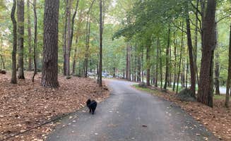 Kevin H.'s photo of camping with pets at Red Top Mountain State Park Campground near Kennesaw, GA