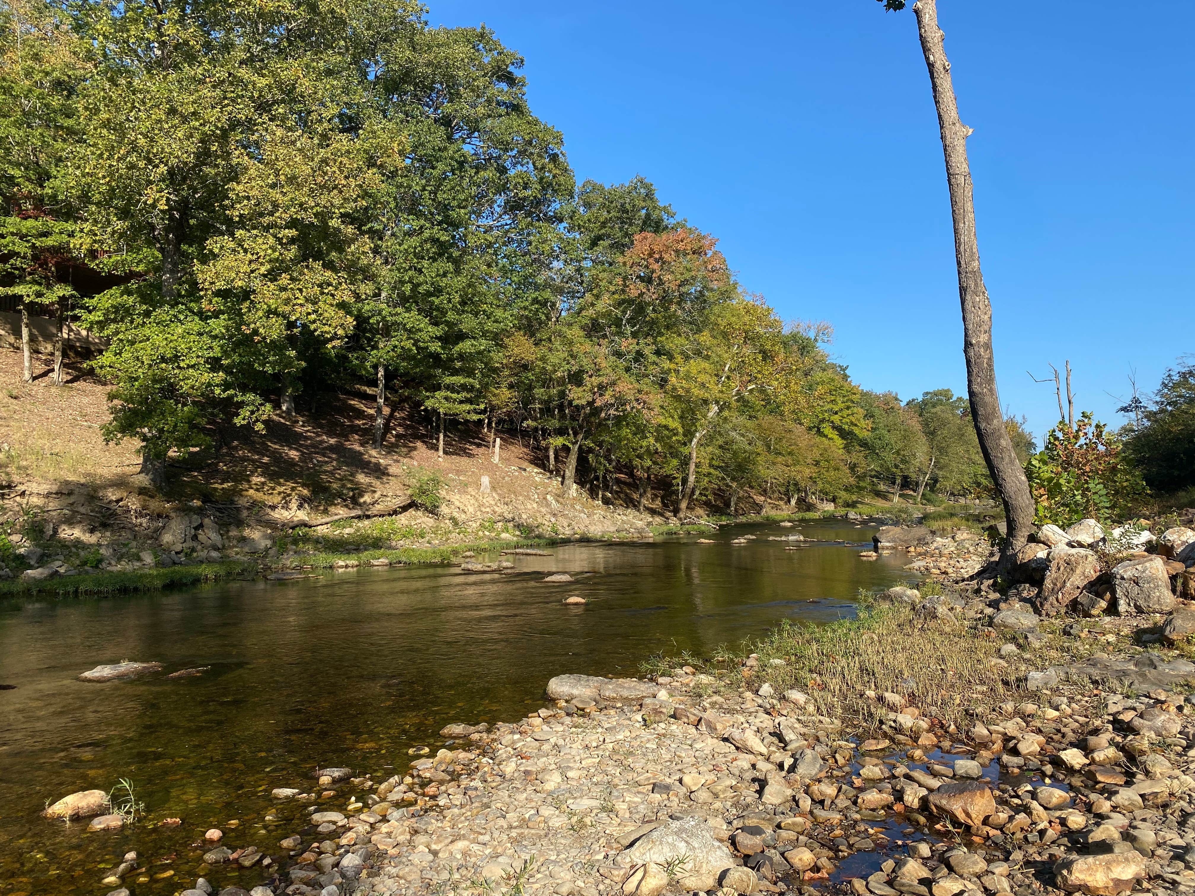 Camper submitted image from Lucky’s Campground Canoe & Kayak Rental - 2